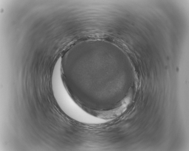 X0000087601202200705112319