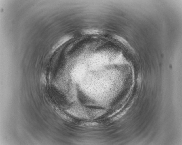 X0000087601209200705112320