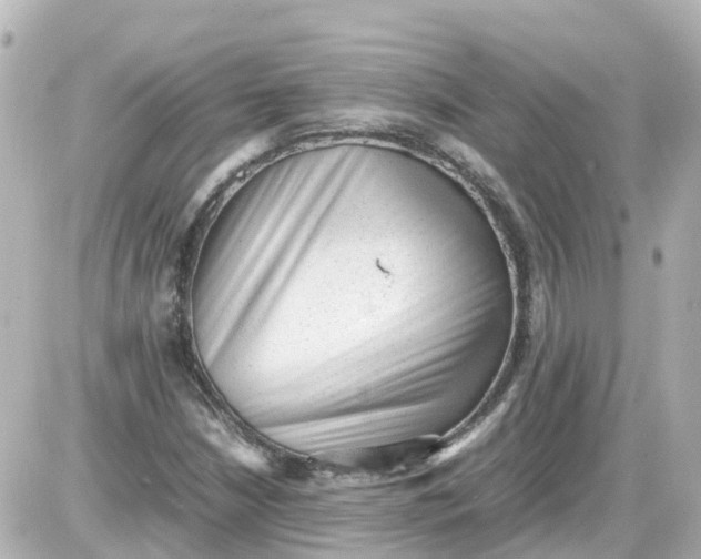 X0000087601210200705112320