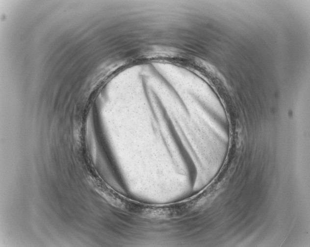 X0000087601217200705112320
