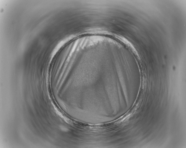 X0000087601231200705112320