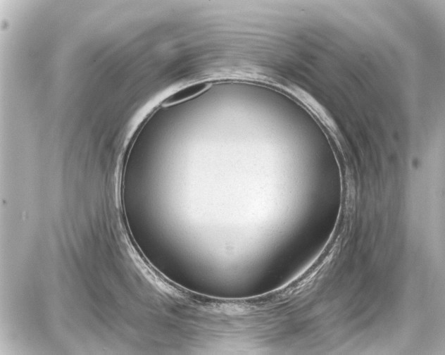 X0000087601246200705112320