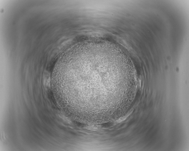 X0000087601251200705112319
