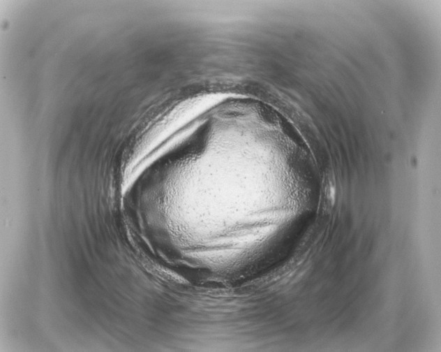 X0000087601252200705112319