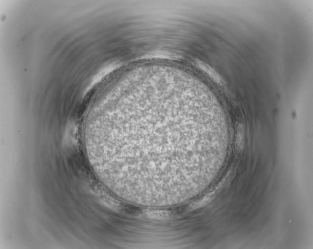 X0000087601258200705112319