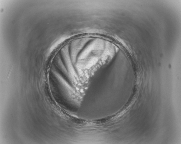 X0000087601263200705112319