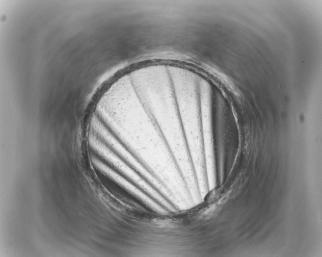 X0000087601264200705112319