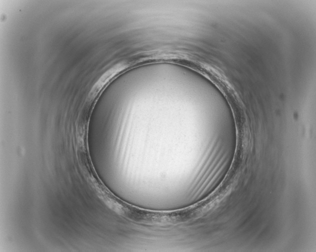X0000087601273200705112319