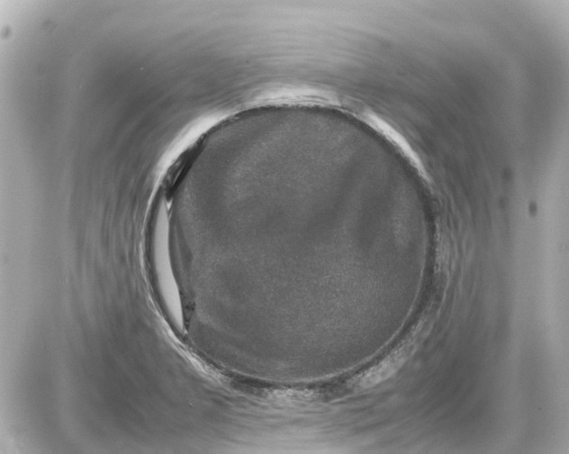 X0000087601277200705112319