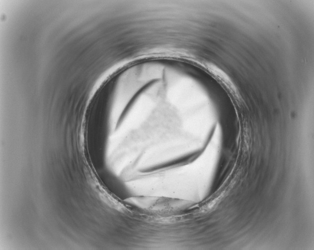 X0000087601288200705112319