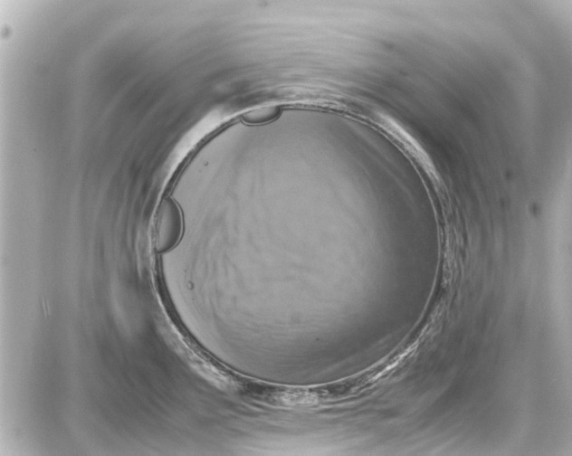X0000087601291200705112319