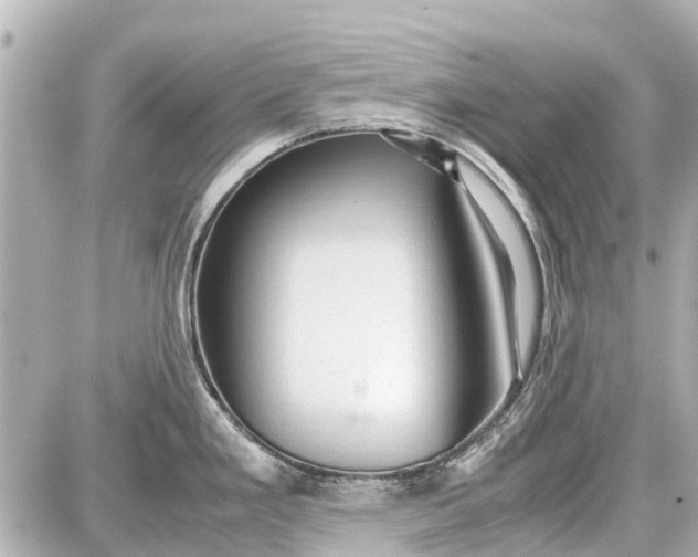 X0000087601293200705112319