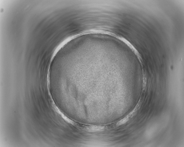 X0000087601294200705112319