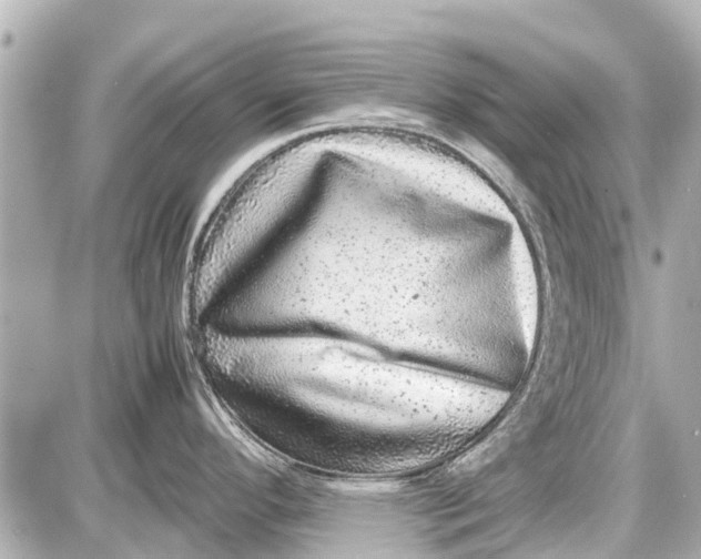X0000087601296200705112319