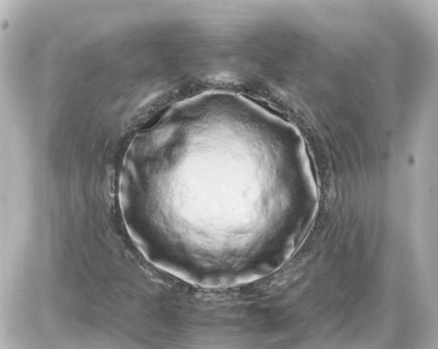 X0000087601301200705112318