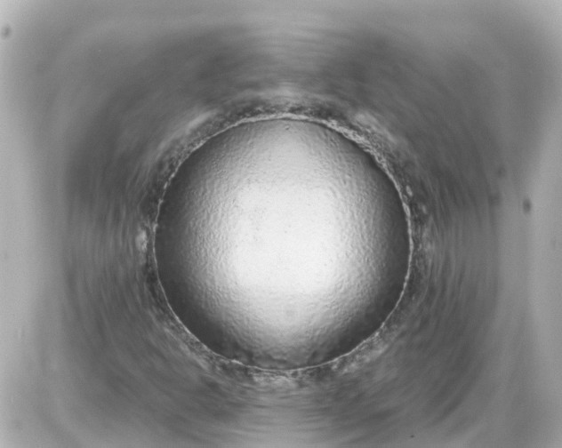 X0000087601302200705112318