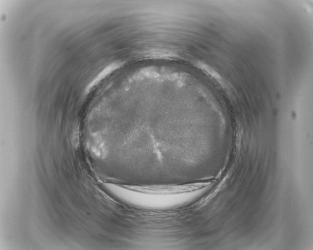 X0000087601306200705112318