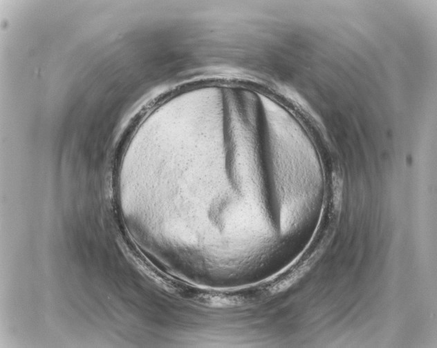 X0000087601318200705112318