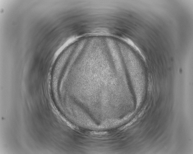 X0000087601325200705112318