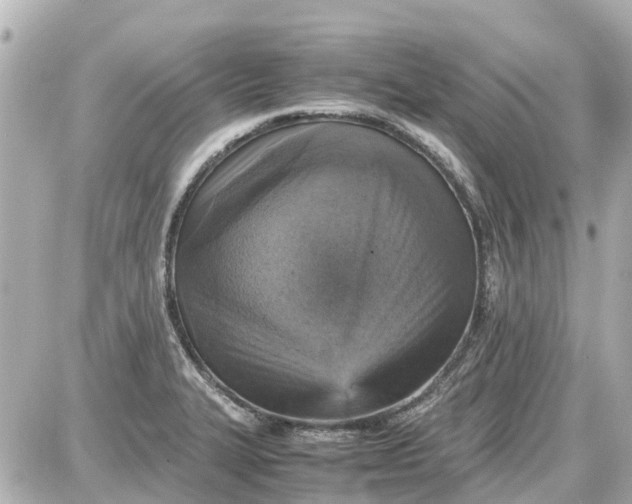 X0000087601327200705112318