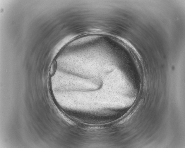 X0000087601333200705112318