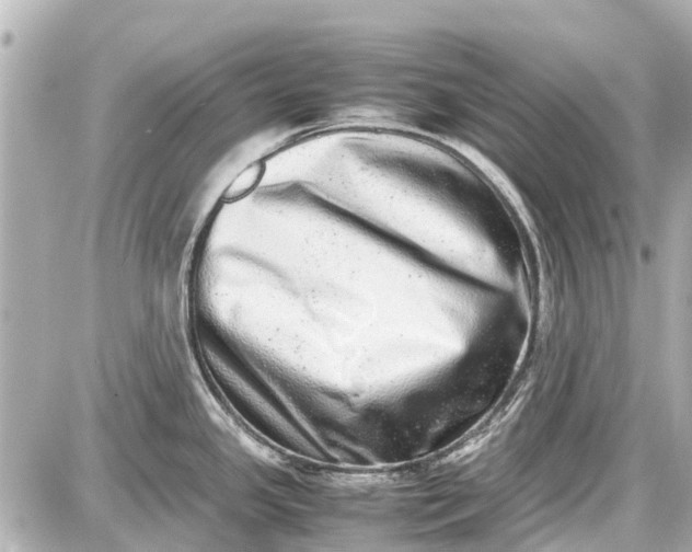 X0000087601341200705112319
