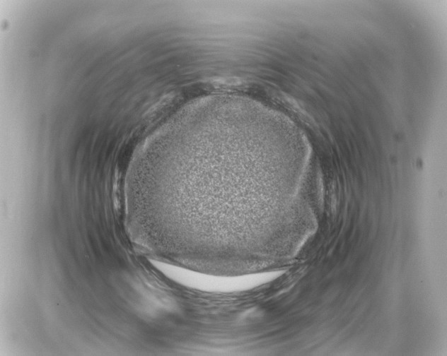 X0000087601346200705112318
