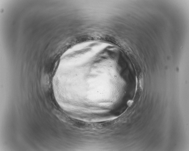 X0000087601347200705112318