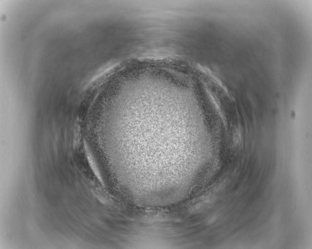 X0000087601350200705112318