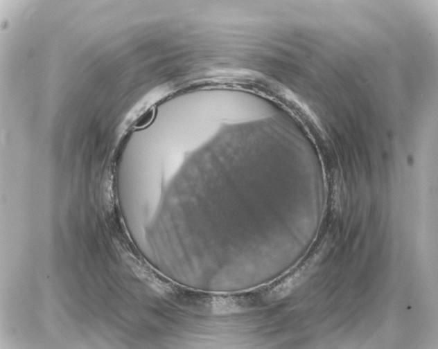 X0000087601362200705112318