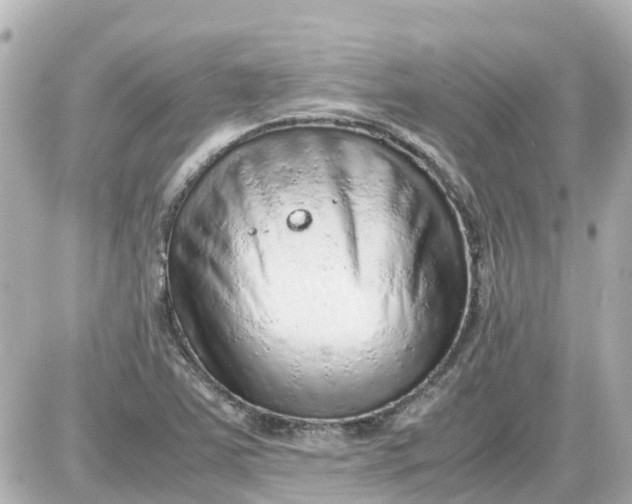 X0000087601363200705112318