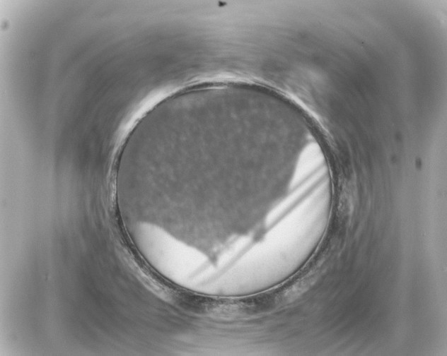X0000087601367200705112318