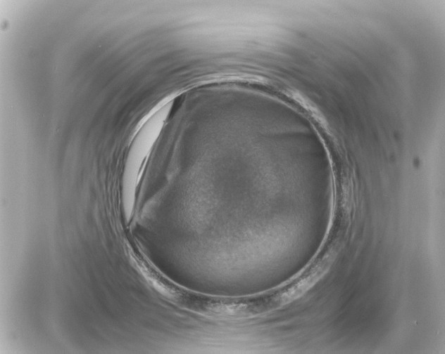 X0000087601369200705112317