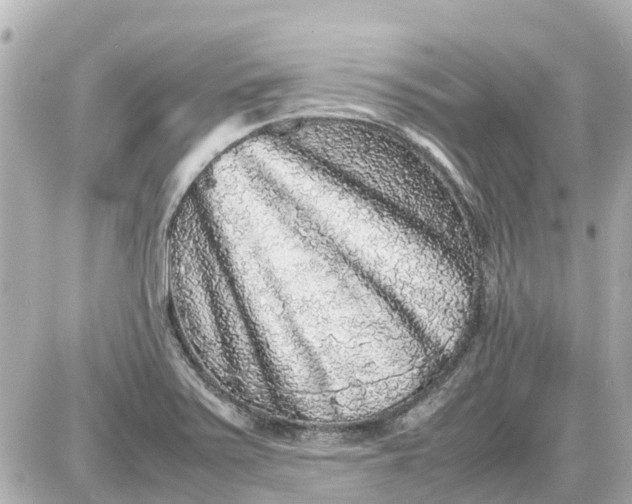 X0000087601371200705112317