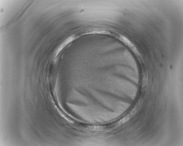 X0000087601377200705112317