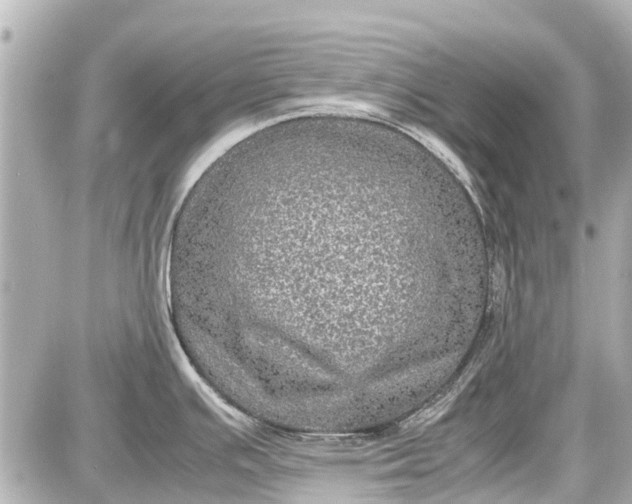 X0000087601391200705112317