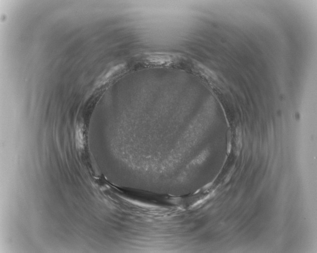 X0000087601394200705112316