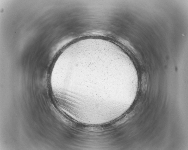 X0000087601404200705112317