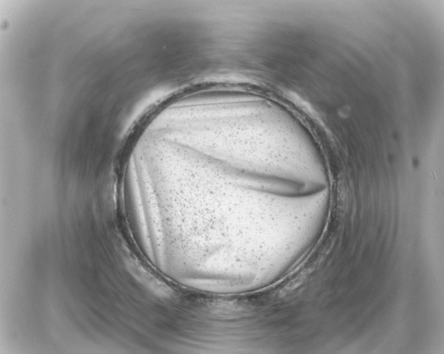 X0000087601408200705112317