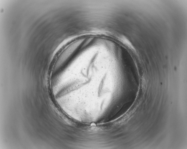 X0000087601412200705112317