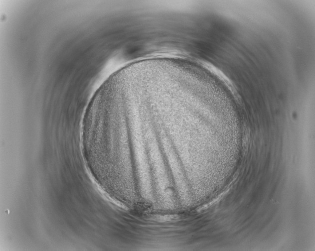 X0000087601423200705112317