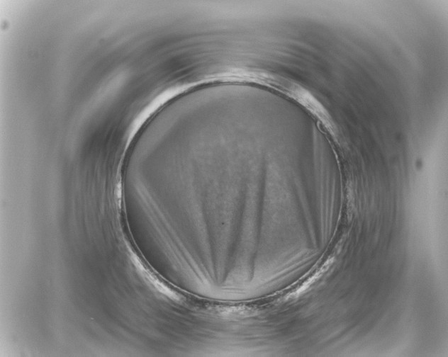 X0000087601428200705112317