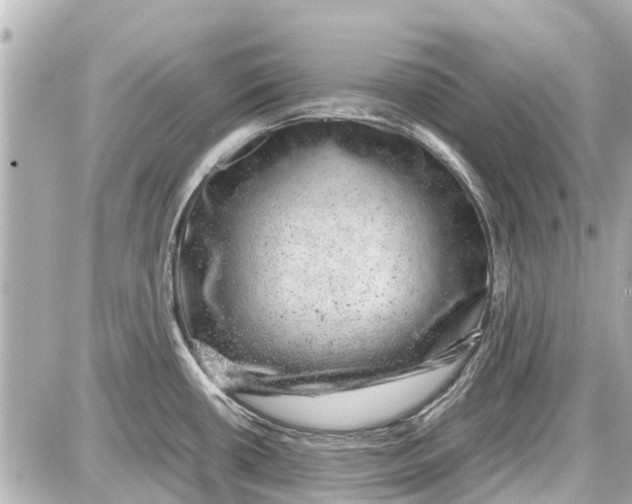 X0000087601434200705112317