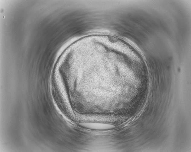 X0000087601440200705112317