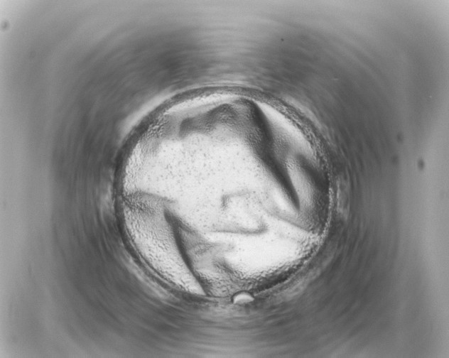 X0000087601452200705112316