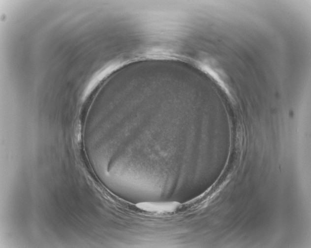 X0000087601461200705112316