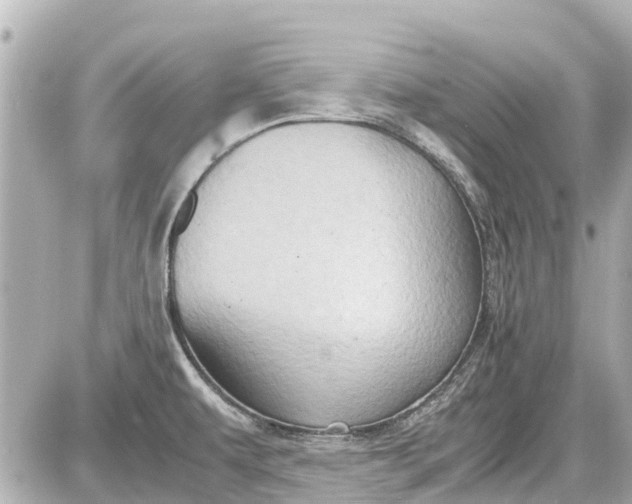 X0000087601479200705112316