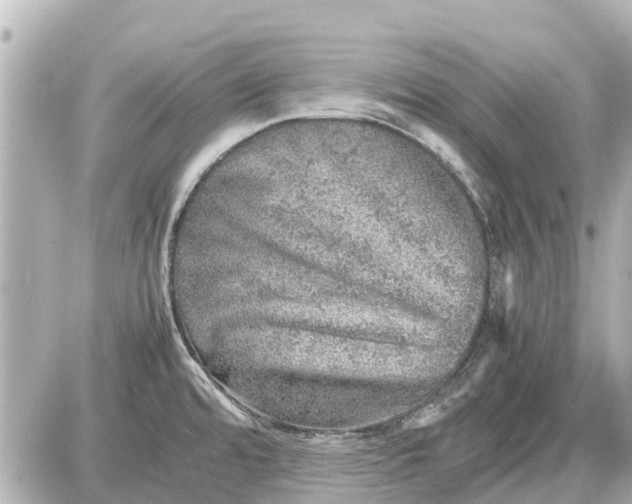 X0000087601480200705112316