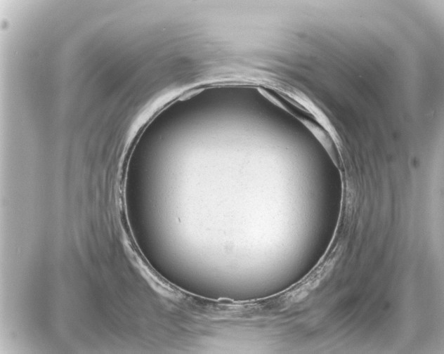 X0000087601485200705112316
