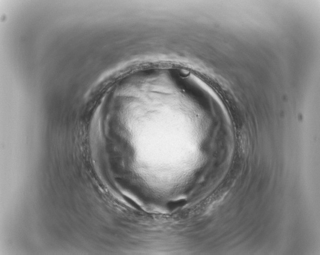X0000087601494200705112315